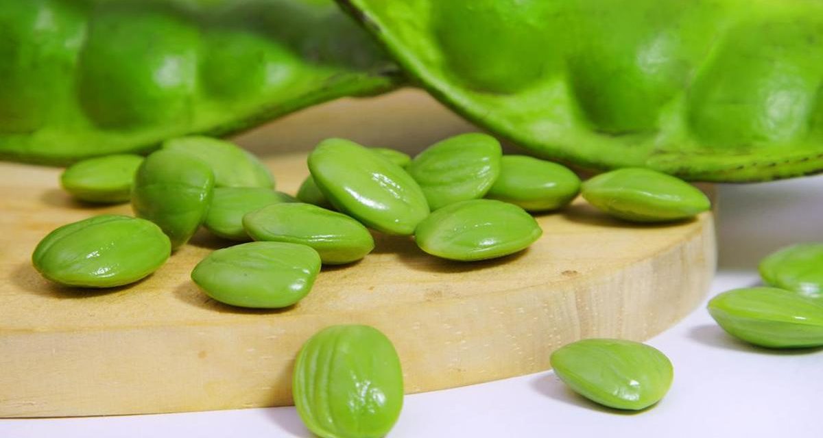 Makan Petai Dengan Bijak: Hindari Risiko Kerusakan Ginjal