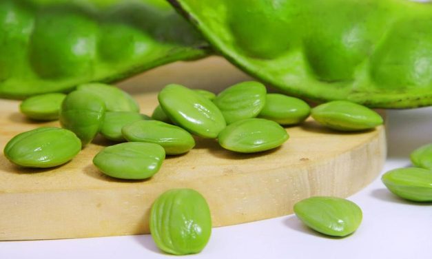 Makan Petai Dengan Bijak: Hindari Risiko Kerusakan Ginjal