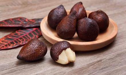 Buah Salak Bisa Tingkatkan Kesehatan Tubuh, Simak Faktanya!